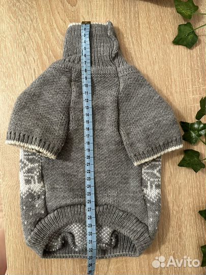 Одежда для маленьких собак