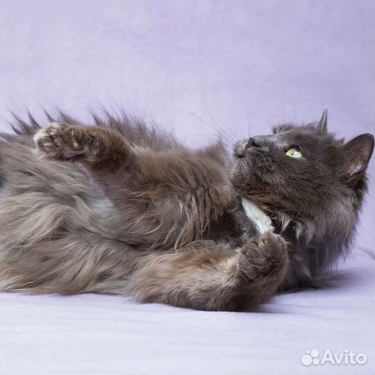 Эби никто не замечает