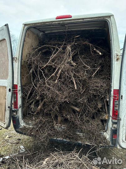 Вывоз строительного мусора и хлама