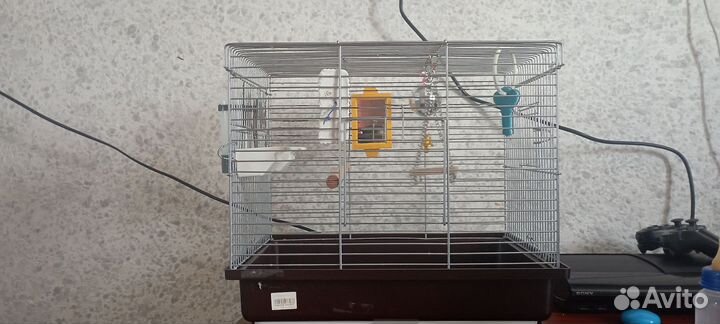 Волнистый попугай с клеткой