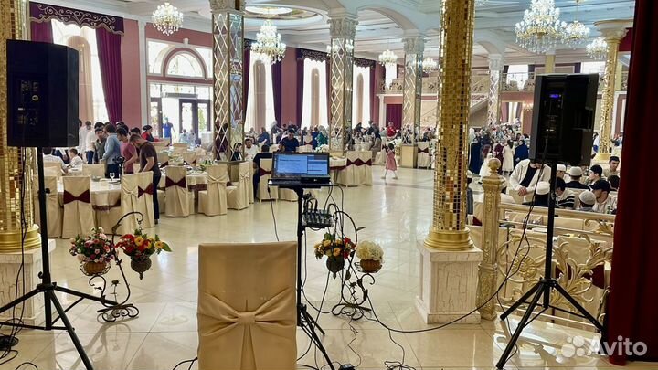 Ведущий на свадьбу Нашиды