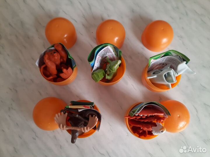 Макси натунс разных лет