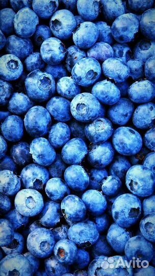 Комплектовщик Вахта Москва