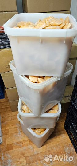 Гребешок Приморский