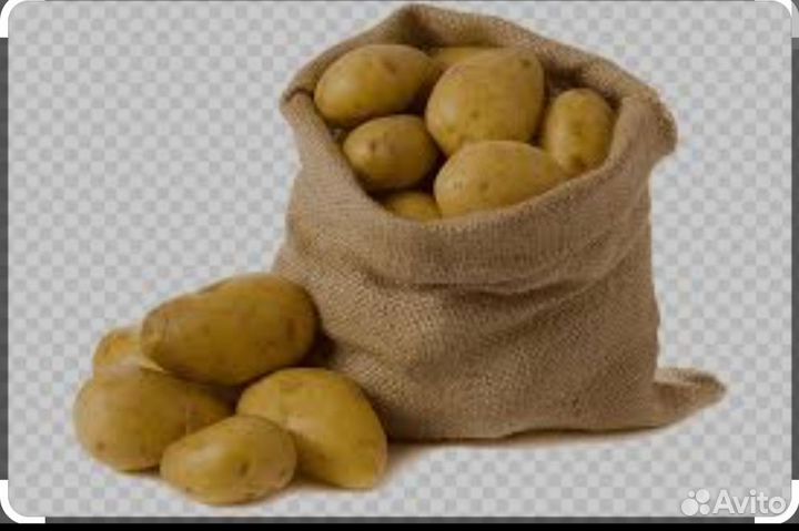 Продам картофель домашний