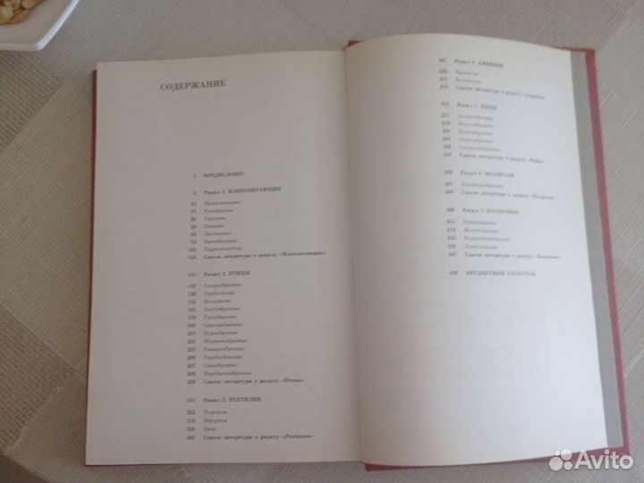 Красная книга РСФСР животные