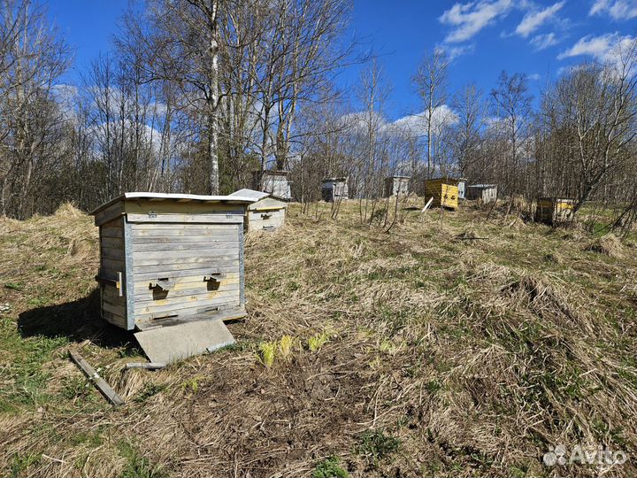 Продам ульи для пчёл