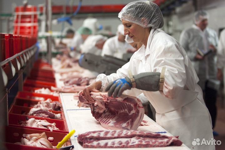Рабочие 2300 на мясокомбинат.Вахта.Воронеж