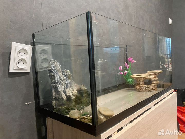 Аквариум бу