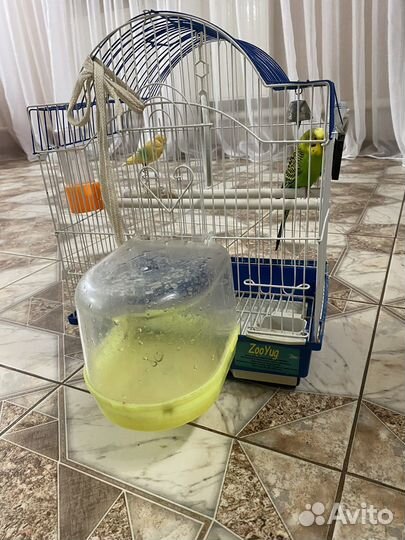 Отдам в добрые руки