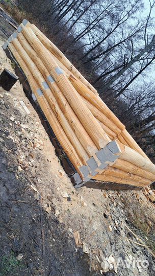 Сруб липовый