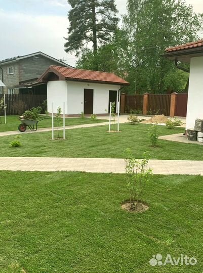 Рулонный газон от производителя