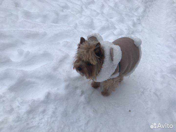 Куртка для собаки зимняя