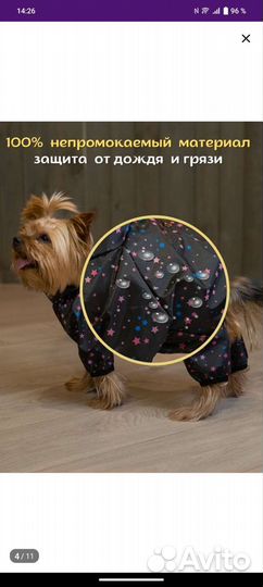 Дождевик для собаки мелкой породы