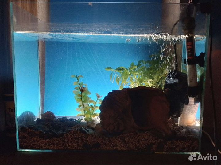 Аквариум