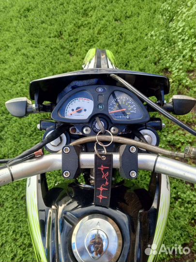 Райсер пантера 200