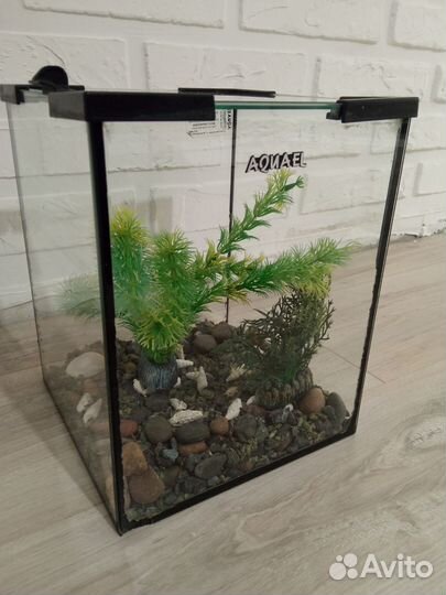 Аквариум aquael 10л