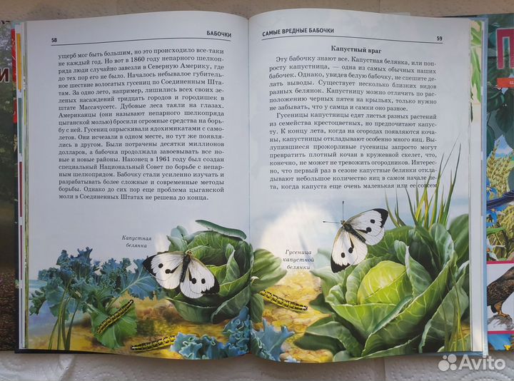 Детские энциклопедии