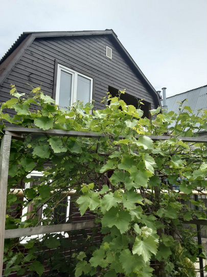 Дом 60 м² на участке 1 сот.