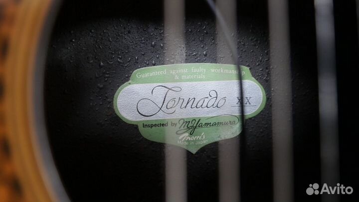 Электроакустика Morris Tornado XX, made in Japan