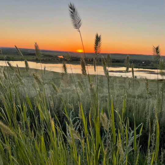 Участок 40 га (СНТ, ДНП)