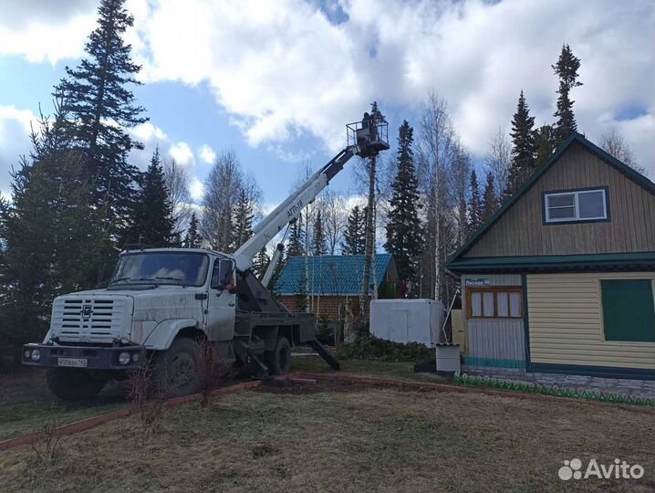 Уборка деревьев