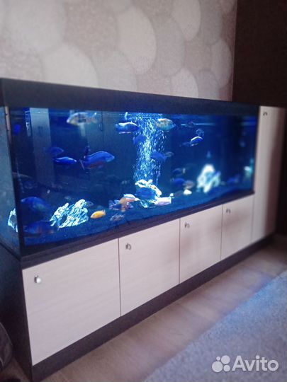 Аквариум