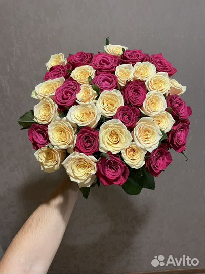 31 роза микс 60 см кремовой и малиновой розы