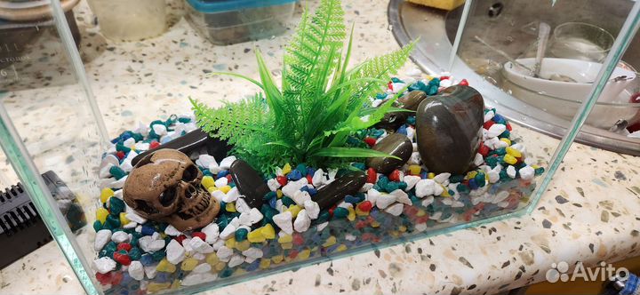 Аквариум 10 литров