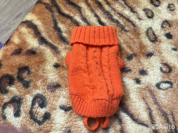 Одежда для кошек