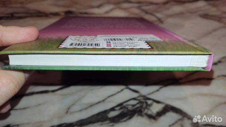 Детская книга из серии Холли Вебб. Новая