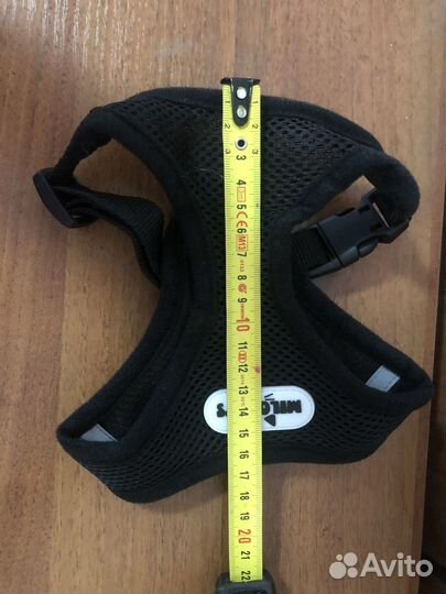 Обувь и шлейка для домашних животных