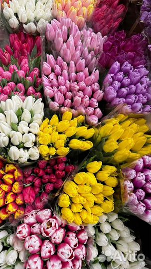 Тюльпаны к празднику с доставкой