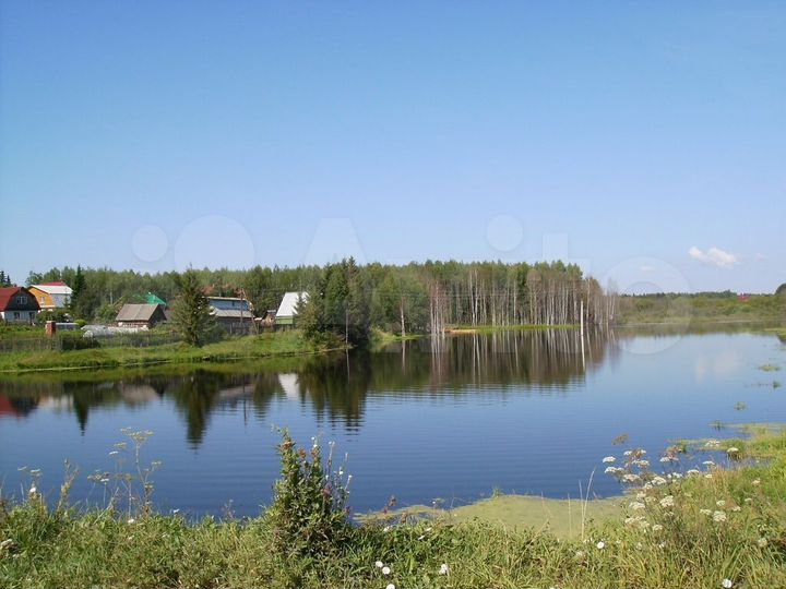 Участок 10 сот. (СНТ, ДНП)