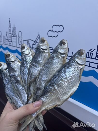 Вобла вяленная Астраханская