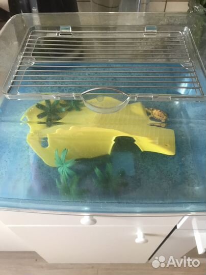 Террариум для рептилий