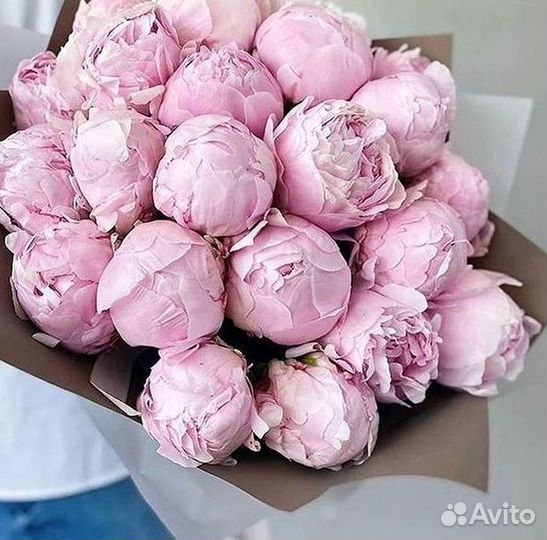 Пионы Розы Доставка