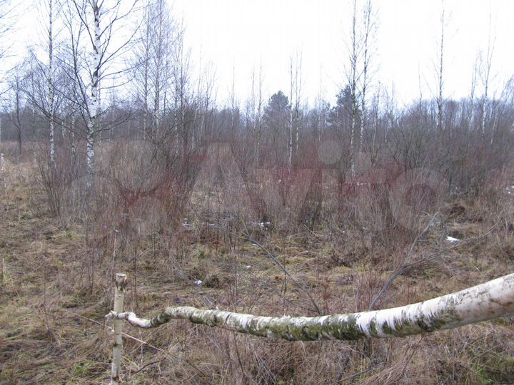 Участок 15 сот. (ИЖС)