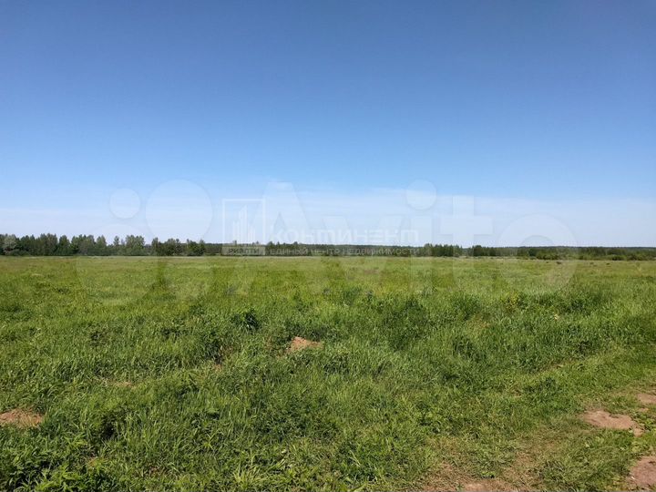 Участок 12,8 сот. (ИЖС)