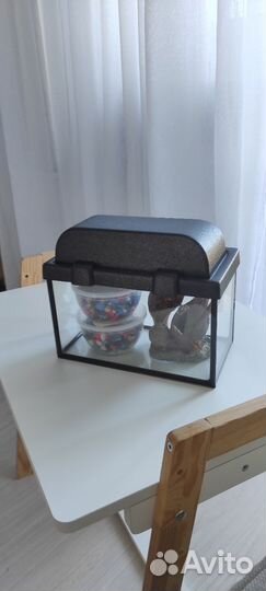 Аквариум 5 литров с крышкой, камушками и декором