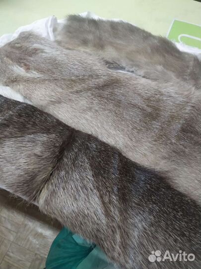 Шкурка животного 3 позиции