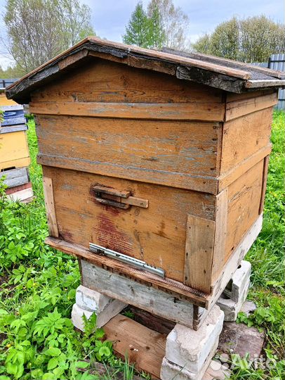 Улей с пчелами