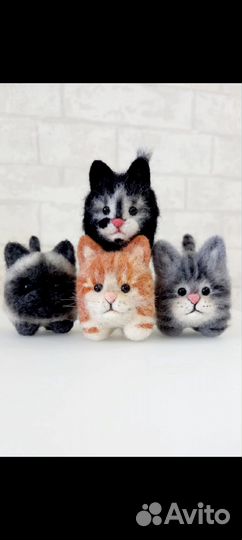 Котята шерстяные