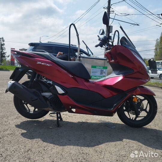 Honda pcx