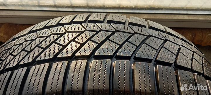 Continental ContiWinterContact TS 830 P 205/60 R16 92H