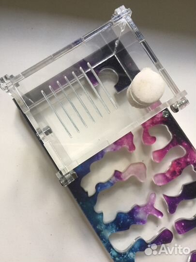 Муравьиная ферма (формикарий)