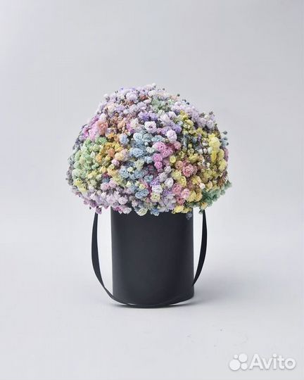 Композиции из Гипсофилы Разные Цвета