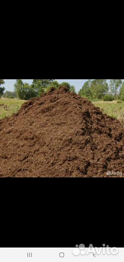 Конский навоз