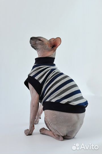 Кофта одежда для кошки (сфинкса) в ассортименте