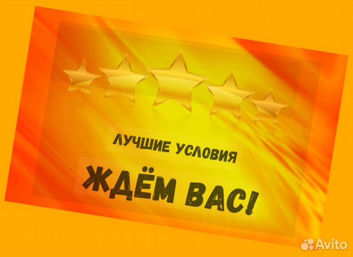 Этикеровщик без опыта Хорошие условия+Спецодежда